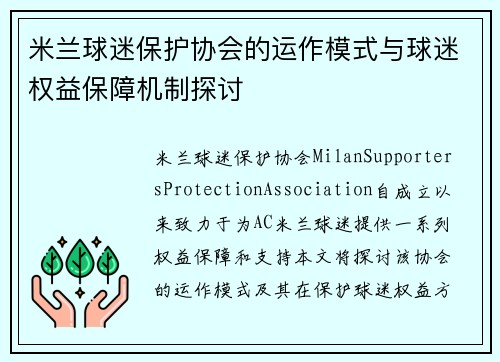 米兰球迷保护协会的运作模式与球迷权益保障机制探讨