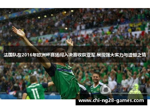 法国队在2016年欧洲杯赛场闯入决赛收获亚军 展现强大实力与遗憾之情