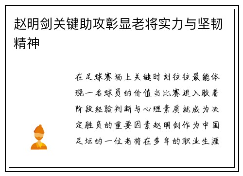 赵明剑关键助攻彰显老将实力与坚韧精神